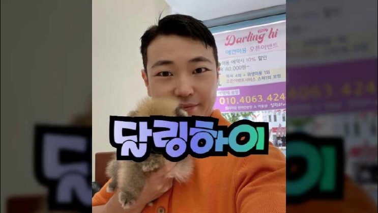  수원강아지입양 포메라니안 분양받기
