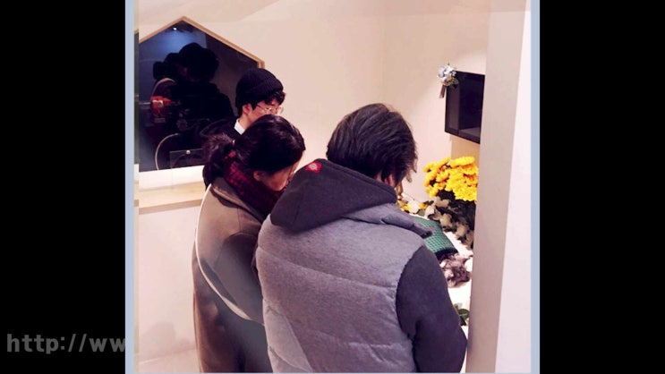  도봉구 강북구 강아지 장례식장 고양이 화장 반려동물 애견 화장터 반려견 장례식장, 무엇을 따져봐야 하나?