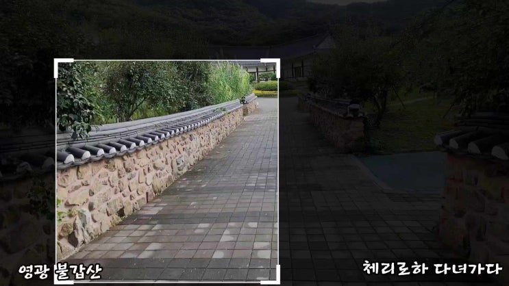 영광 가볼만한 곳 불갑산 영광산림박물관 & 상사화교육홍보관