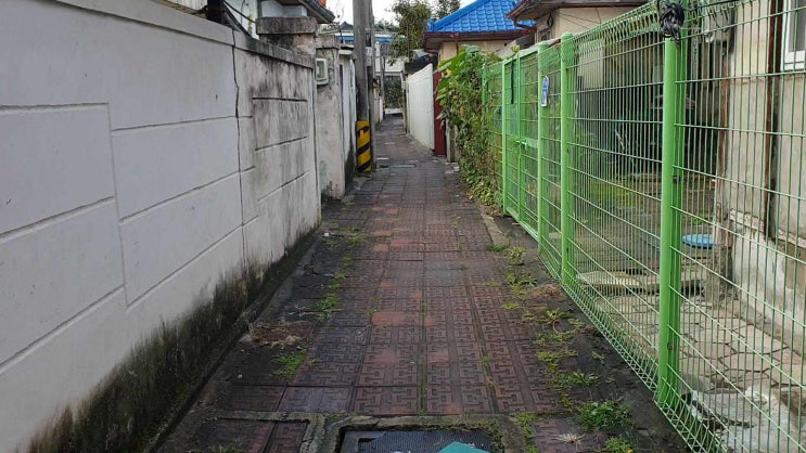  대전 중구 산성동 2구역 임장기 - 저평가인가 재개발 진행이 안돼 저렴한 것인가?