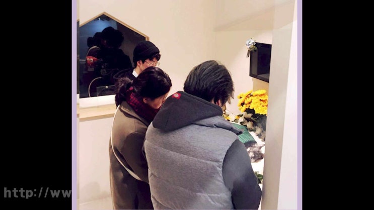  영등포구 강서구 구로구 강아지 장례 장례식장 고양이 화장 반려견 애견 반려동물 화장터, 주요한 주의사항!