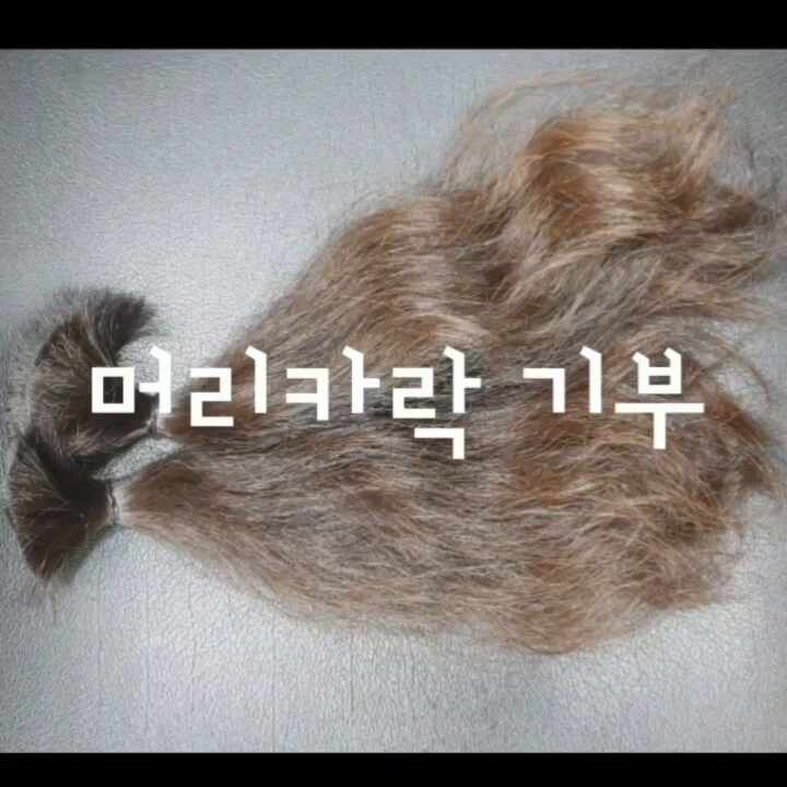  [어머나운동본부] 머리카락 기부 기증 [바바라헤어] 모발 기부 기증 방법 안내