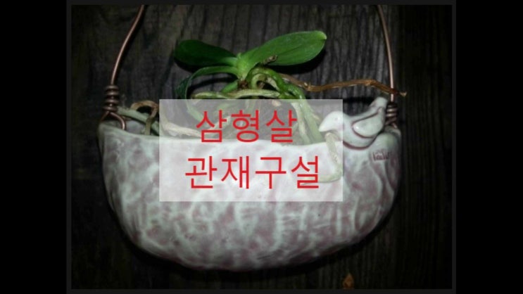  삼형살과 관재구설을 논함 사주명리학 소문난철학관 관점