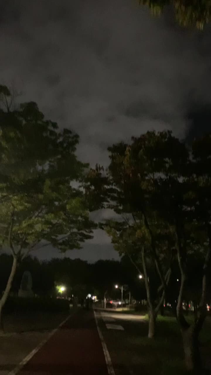  공원 유산소 걷기 다이어트