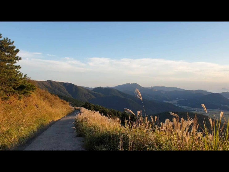  40대 산린이의 소확행, 거제 억새맛집 고자산치 그리고 일몰이 멋진 통신대봉