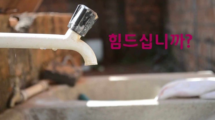  섯다몰에서 섯다해라!