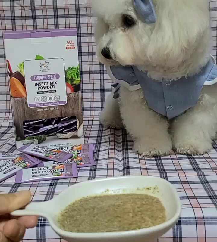  [애니먼] 고양이 츄르 신제품 개발 이야기 #1 / 고양이 간식