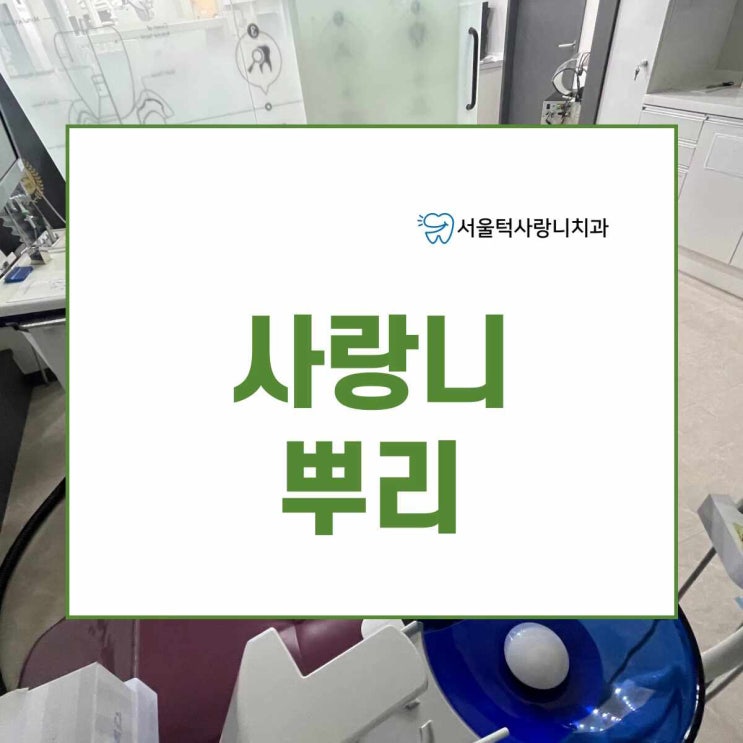  사랑니 뿌리 남기고 발치했는데 괜찮을까요