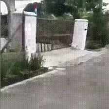  싱글벙글 고양이 두뇌 풀가동.mp4