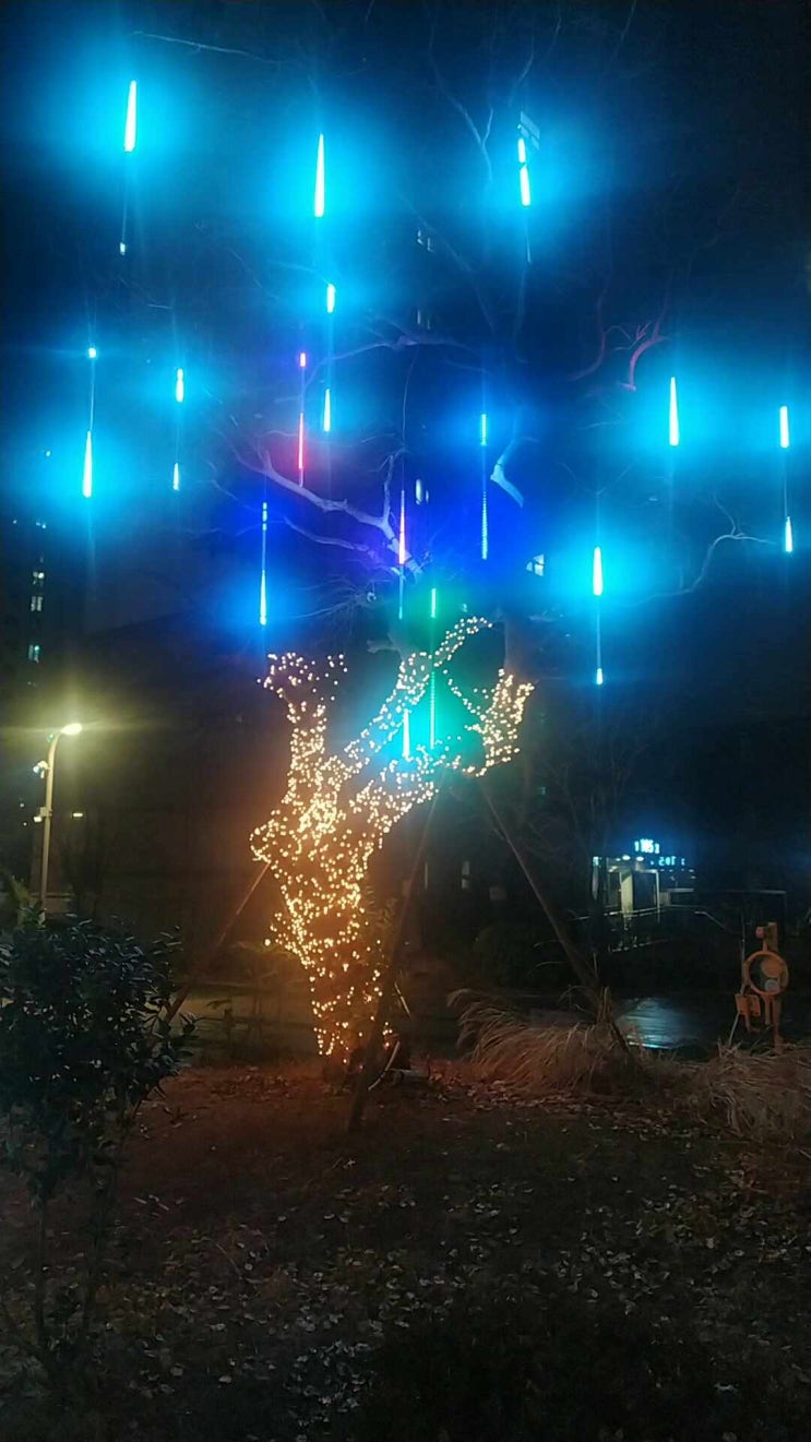  성탄트리 점등식 구경하셨나요? 크리스마스(X-MAS) Tree 꾸미기, 선물 계획