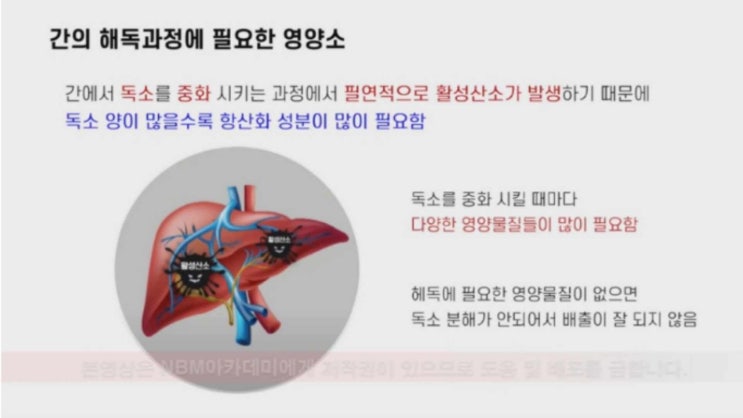  장간해독 디톡스영양소와 파마넥스 에이지락메타