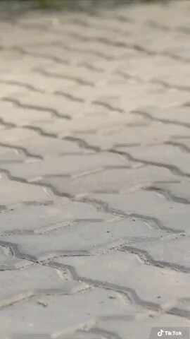  구두에 얼룩 생겼을때 꿀팁.mp4