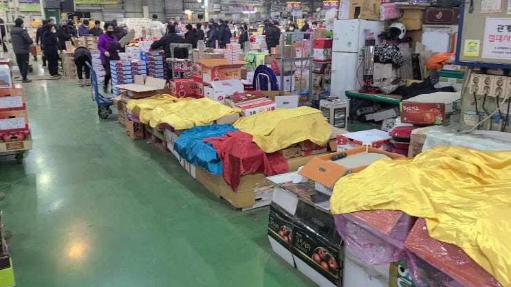  반여농산물도매시장 부산 영업시간 / 경매시간