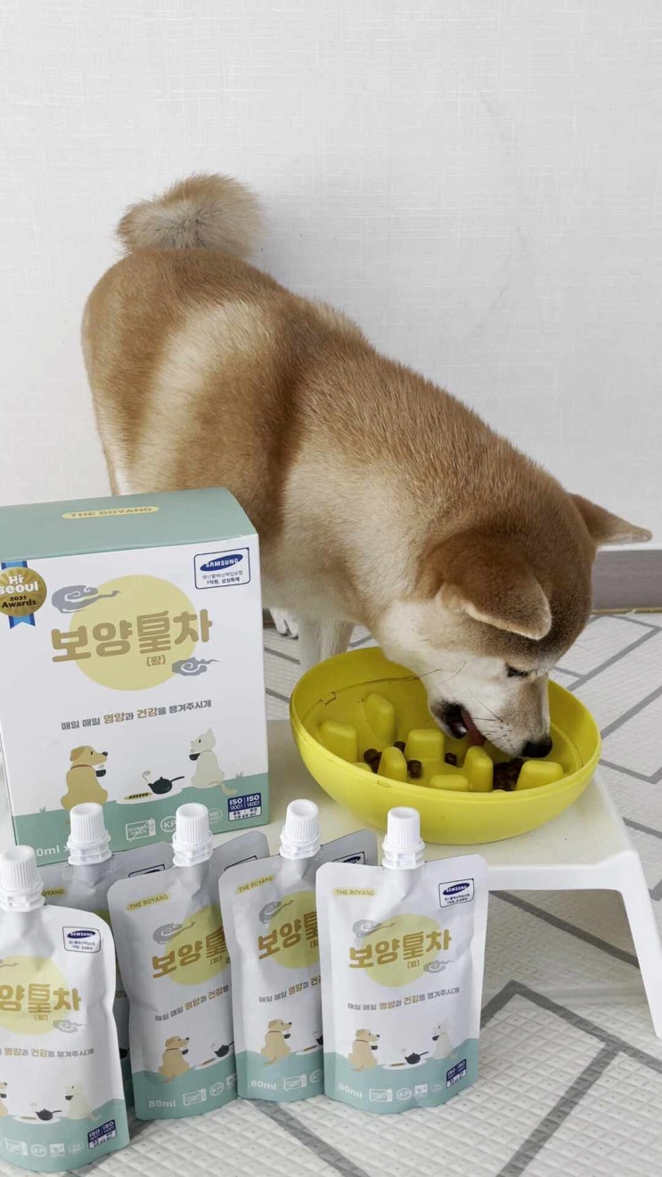  무염 음수량을 늘려주는 강아지보양식 보양황차 급여후기
