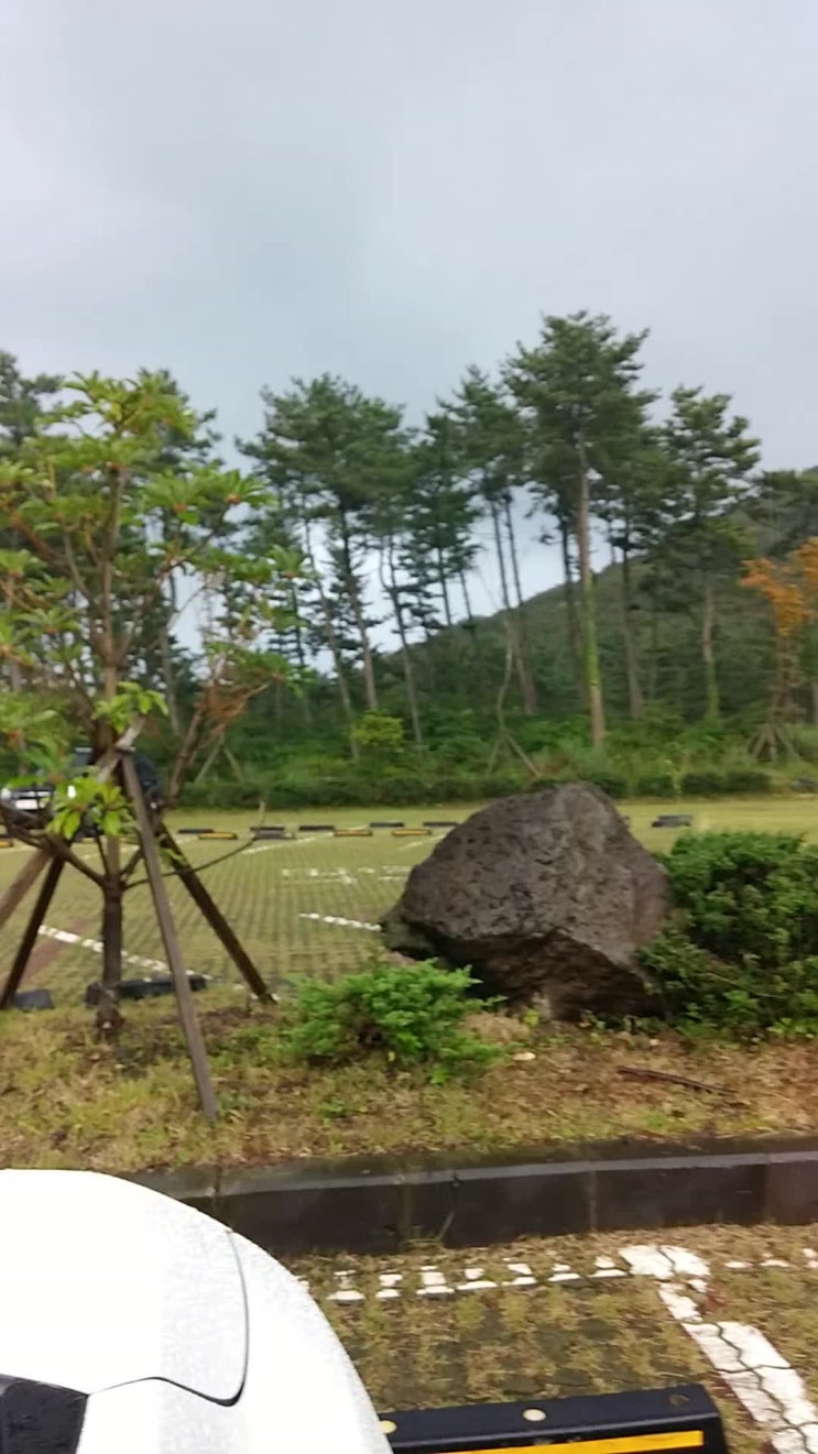  코로나 제주도 숙소~~~~~~^^^~붉은오름 자연휴양림