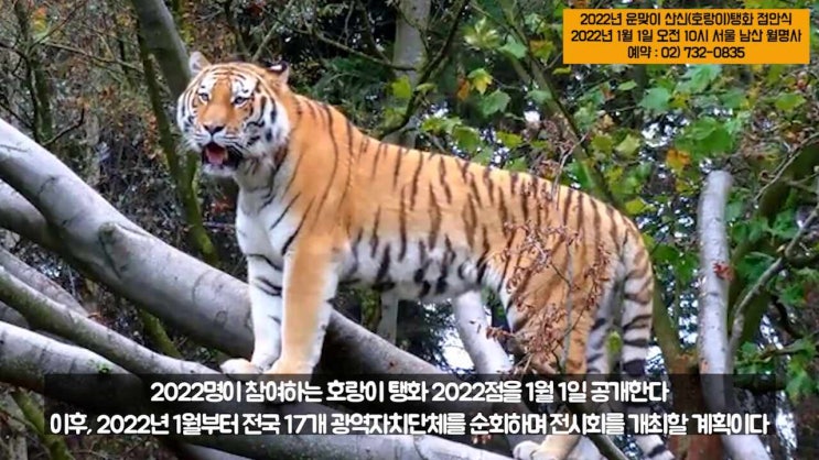  2022 운맞이 산신(호랑이)탱화 점안식