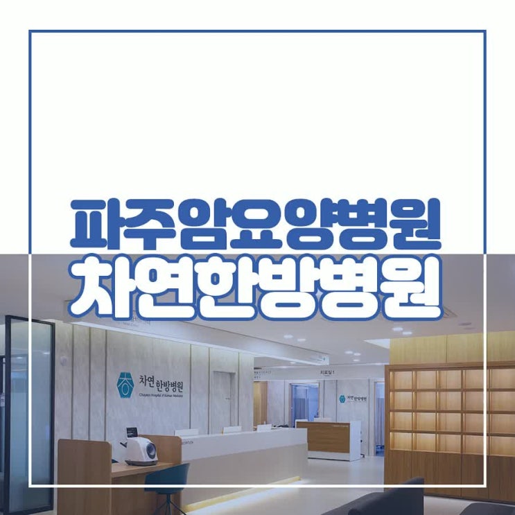  양한방암면역관리 면역체계를 재건하기 위해서는?