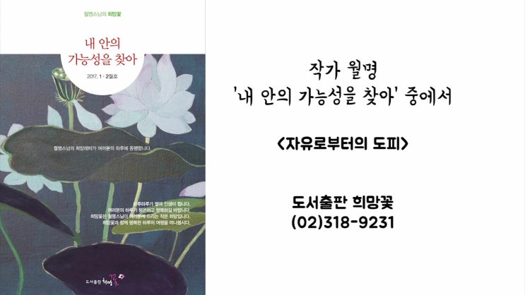  자유로부터의 도피