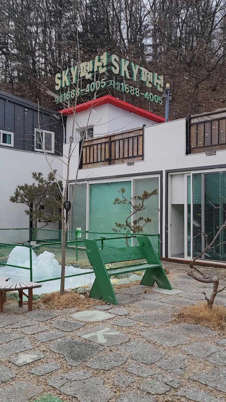  홍천의겨울눈
