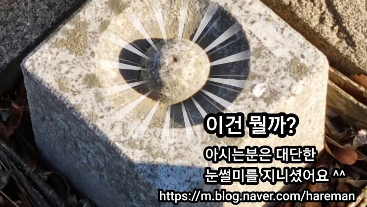  영양농원 사과가 맛있을 수 밖에 없는 이유 ^^