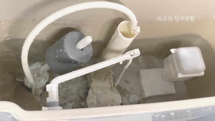  화장실 냄새제거하기 좋은 변기세정제 에코후레쉬
