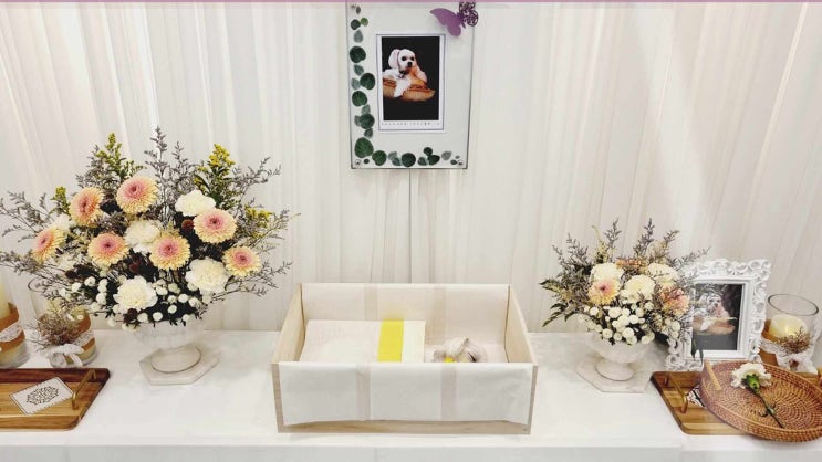  안양 강아지 장례 고양이 화장 반려동물 애견 화장터 반려견 장례식장, 꼭 참고해야 할 요건!