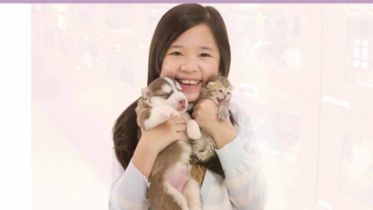  안산 강아지 장례 애견 장례식장 고양이 화장 반려동물  반려견 화장터, 정상적인 절차가 중요!!