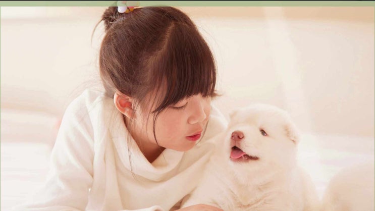  광명 강아지 장례 화장 화장터 반려견 장례식장, 주요 절차와 유의점!