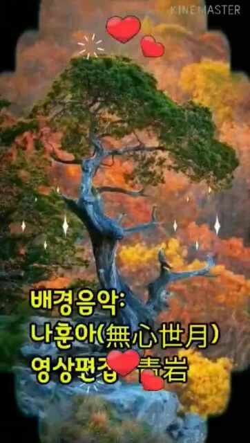 ☆나훈아&무심세월