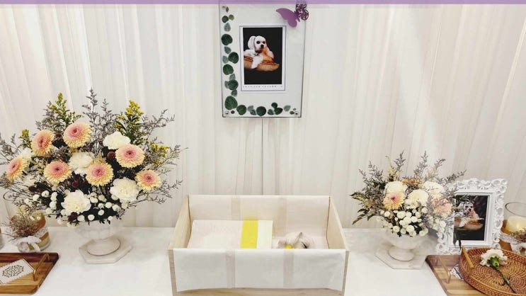  서울  강아지 장례 화장 반려견 화장터 장례식장, 무허가 화장장에 유의하세요