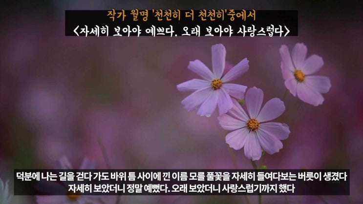  자세히 보아야 예쁘다. 오래 보아야 사랑스럽다