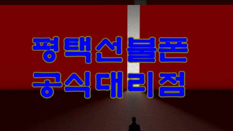  평택 선불폰 갤럭시s9정지폰 문제없이 당일개통