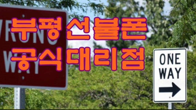  부평 선불폰 정지된 x2도 바로 사용해요