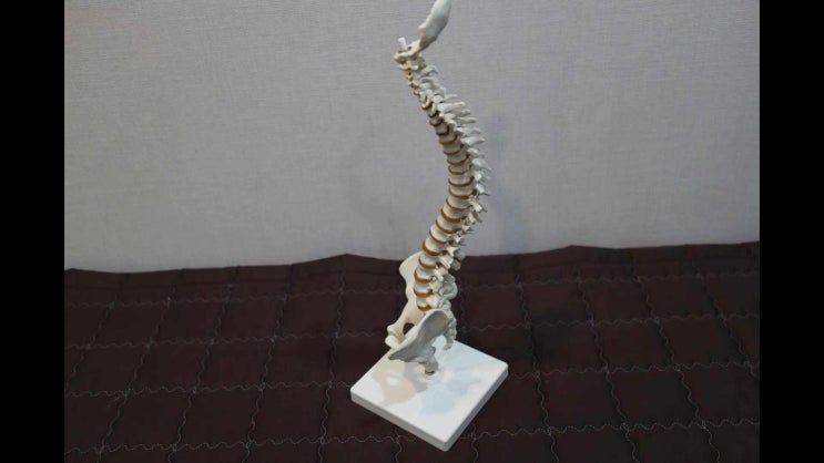  수원추나요법 상부교차증후군 한방치료로 회복해보세요