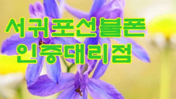  서귀포선불폰 연체정지 G8 KT망으로 개통알려드려요