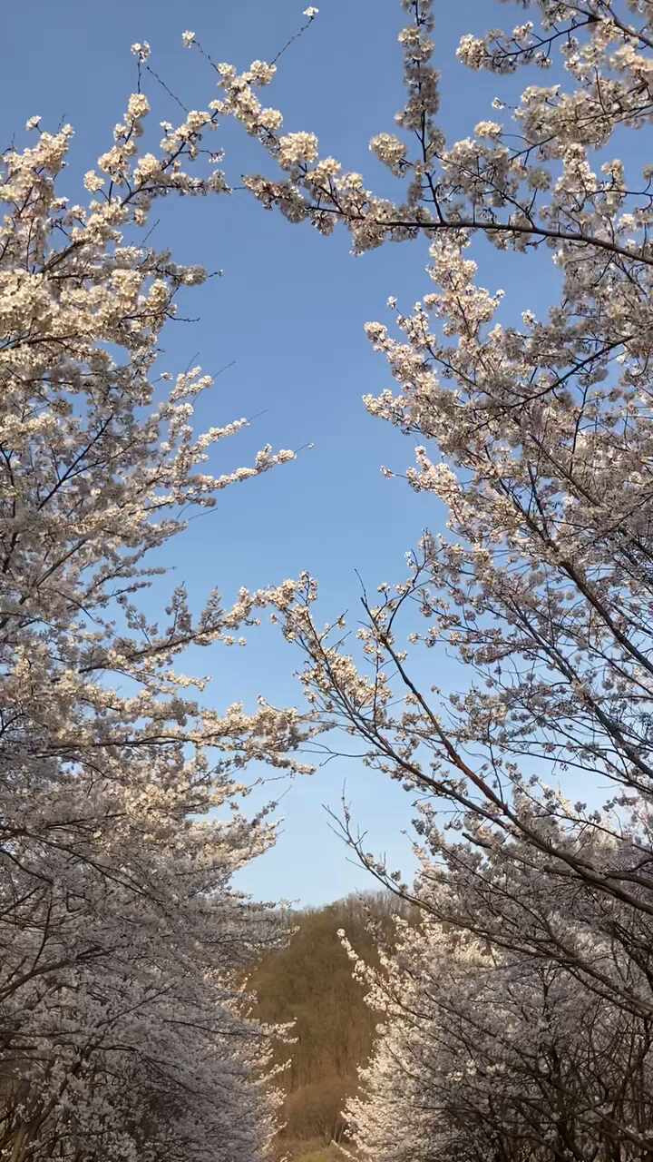  [블로그씨] 산책 코스