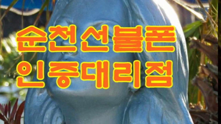  순천선불폰 미납정지 s9플러스 당일 해결했어요