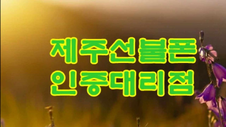  제주선불폰 미납정지 x6 선불유심으로 사용