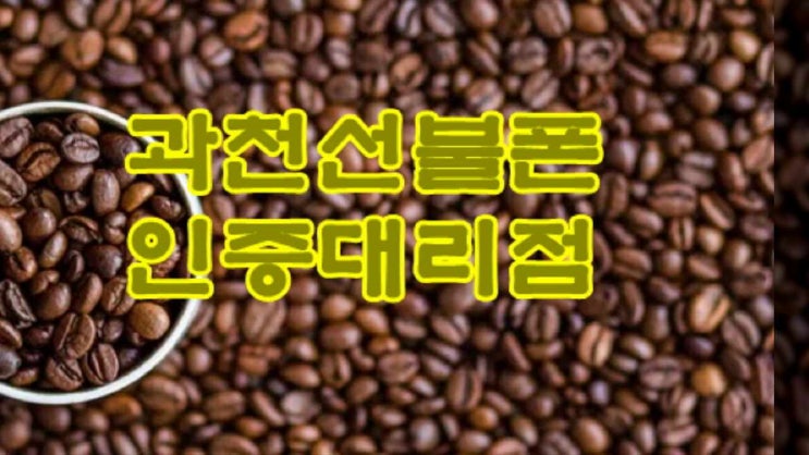  과천선불폰 kt,lg유심을 신속히 개통하는 방법