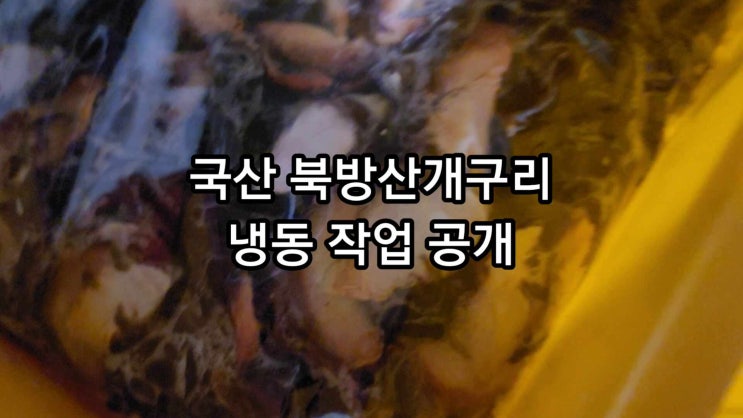  우리가족 개구리즙 선택시 꼭 확인할 사항