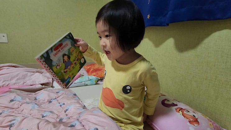  저의 공주책 소개 들어보실래요?
