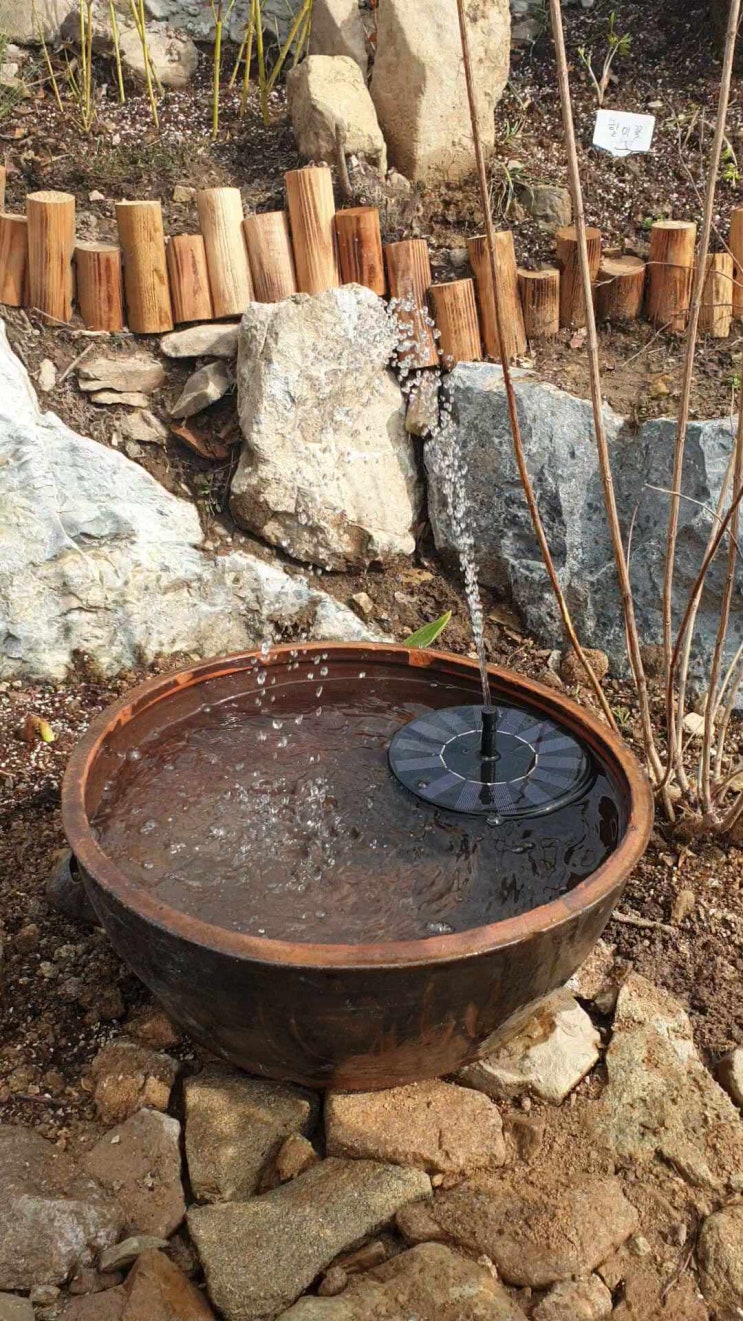  셀프 봄 정원 만들기