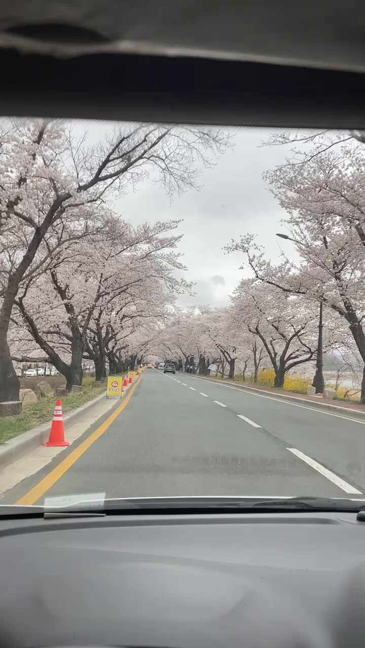  신경주 반도유보라 선착순 분양(벚꽃길)