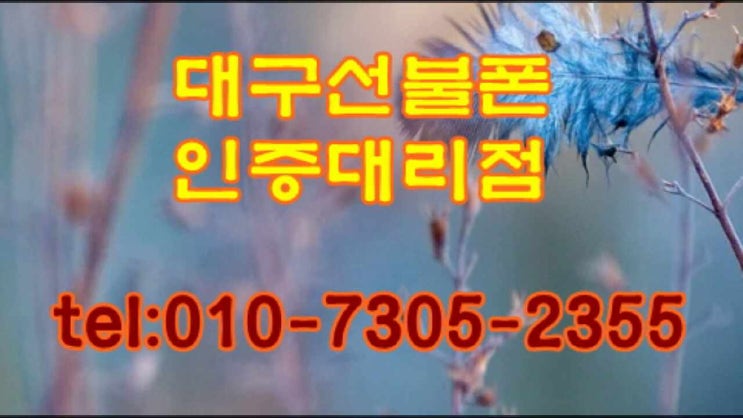  대구선불폰 nfc 삼성페이되는 유심 고르는법