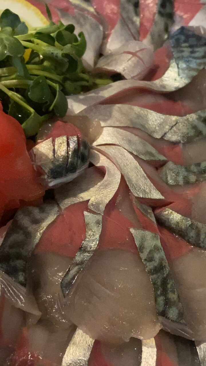  제주 맛집 함덕 횟집 가성비 좋은 고등어회를 먹을 수 있는 백록집