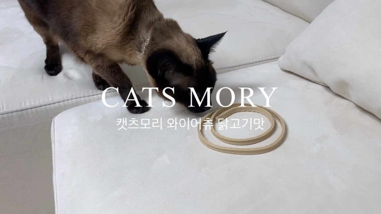  고양이껌 캣츠모리 와이어츄로 스트레스 날리고 재미있게 이빨관리해요