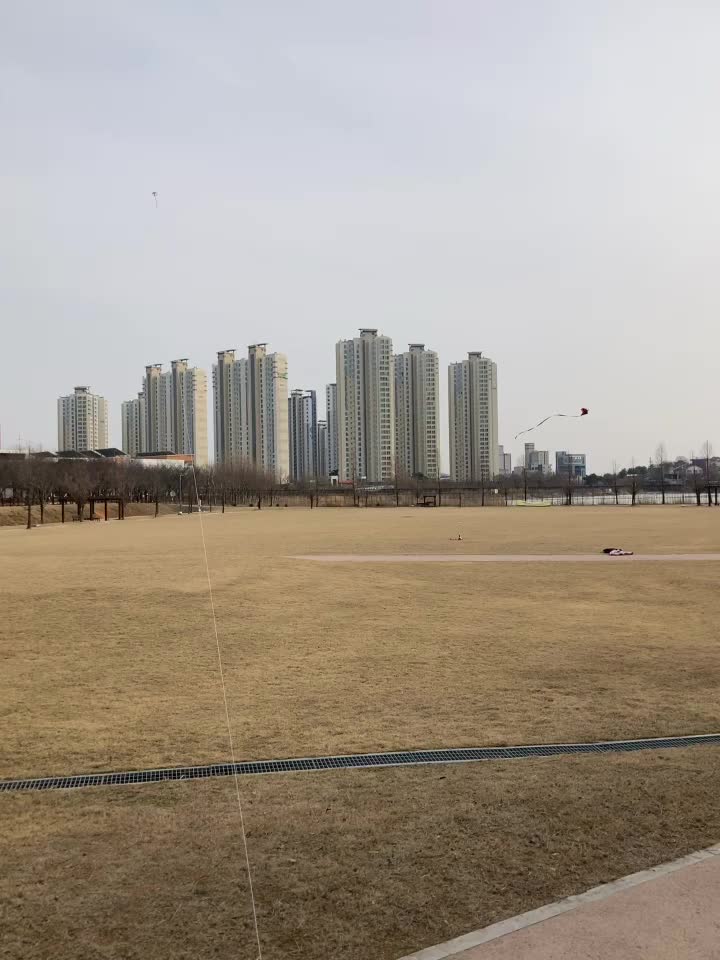  연날리기