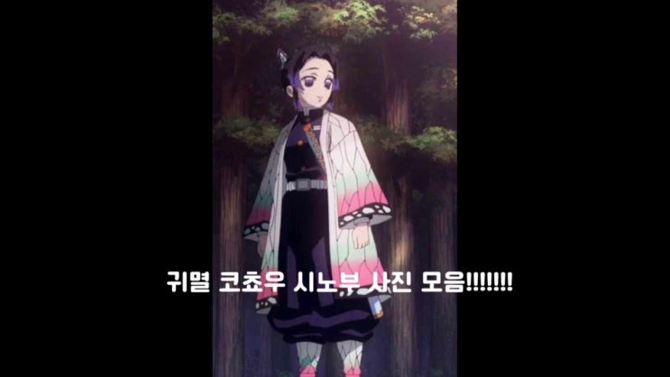  귀멸 코쵸우 시노부 사진모음