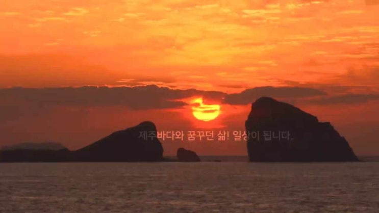  제주도 부동산, 제주도서귀포오션캐슬 분양 정보 알려드려요~!