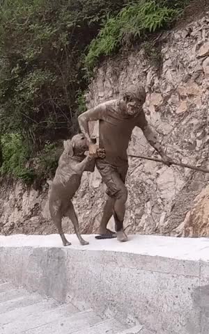  하.. 니들은 대형견 키우지 마라...